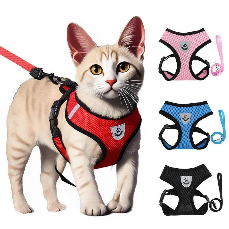 Cat Harness & Leash Set