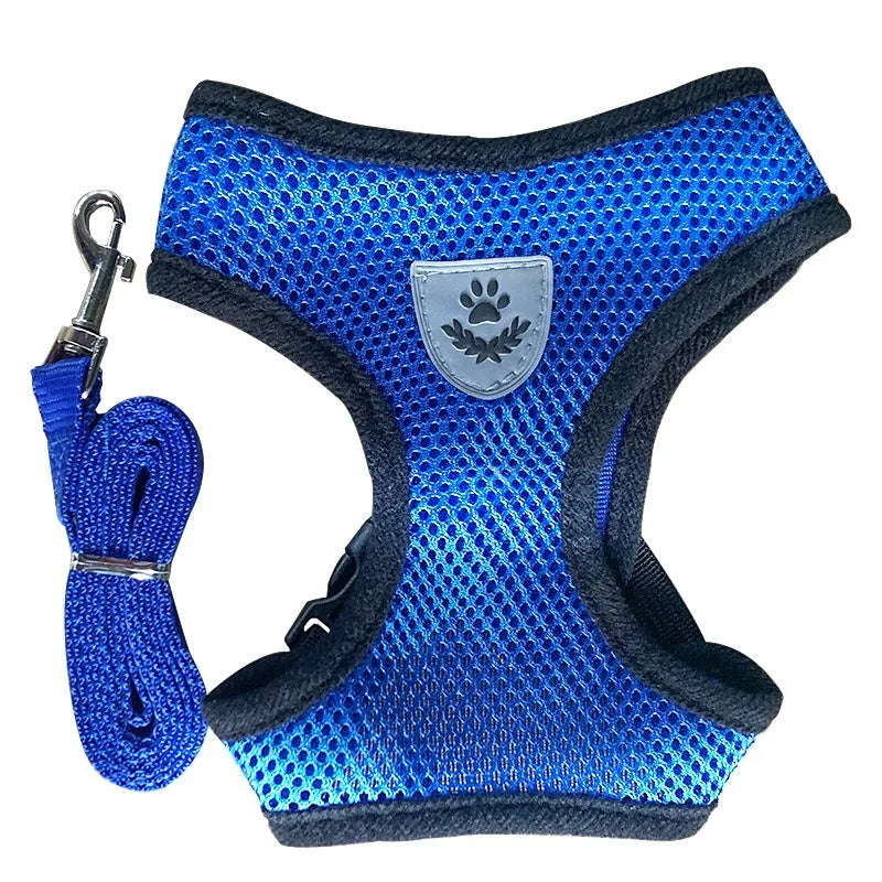 Cat Harness & Leash Set