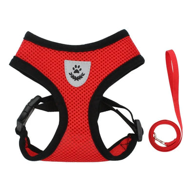 Cat Harness & Leash Set