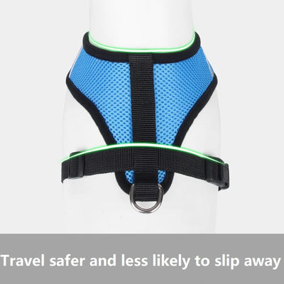 Cat Harness & Leash Set