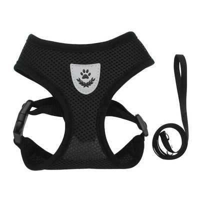 Cat Harness & Leash Set
