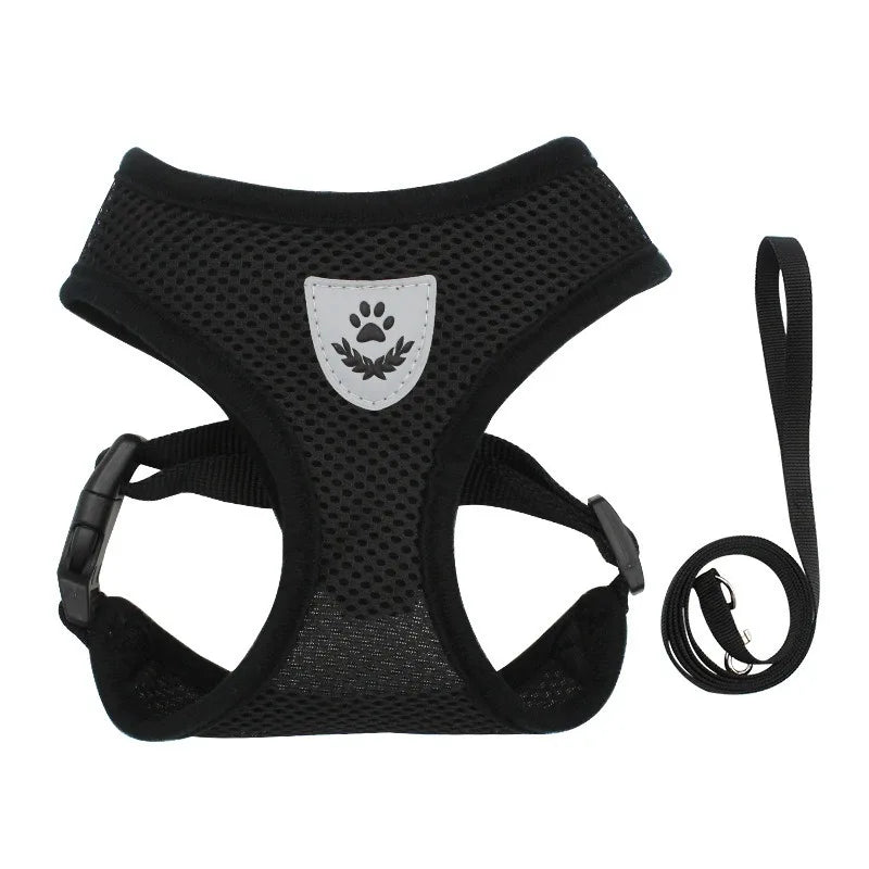 Cat Harness & Leash Set