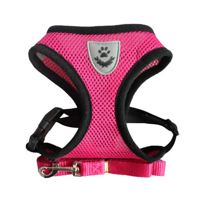 Cat Harness & Leash Set