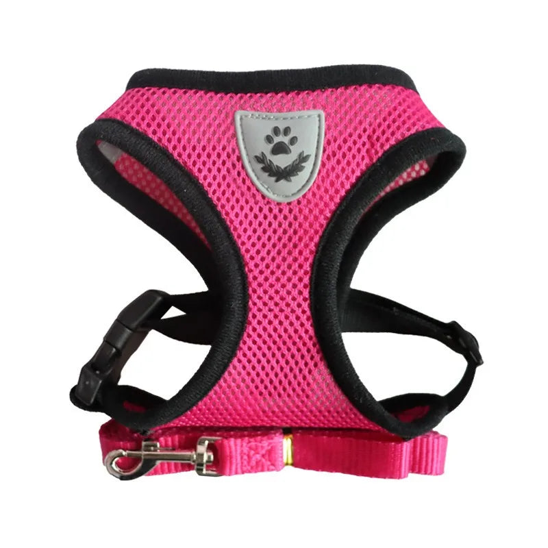 Cat Harness & Leash Set