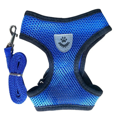 Cat Harness & Leash Set